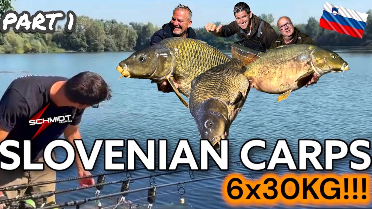 Karpfenangeln in Slowenien🇸🇮 | Monsterkarpfen der Extraklasse 😍🎣| Yalla Yalla Boilies