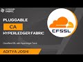 Pluggable Certificate Authority Hyperledger Fabric | Using Cloudflare SSL for HLF | ADITYA JOSHI |