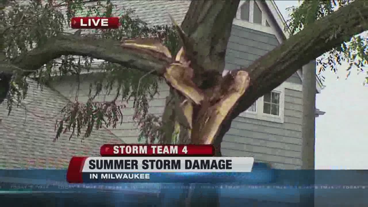 Monday storm knocks down trees, causes power outages - YouTube