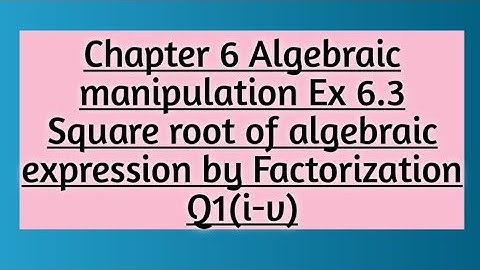 Math Class 9 || Math Chapter 6 | Algebraic Manipulation | Exercise# 6.3 Q#1(i-v)
