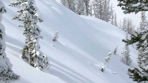 Remotely triggered avalanche, Salmon Headwaters