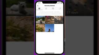 Instagram Recently Deleted - New feature 🔥