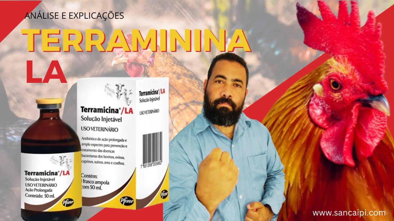Tudo sobre Terramicina LA para Galinhas Caipiras! 🐓 TERRAMICINA LA para GALINHAS CAIPIRAS