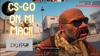 CS-GO On M1 Mac(macOS 11.4) In Depth testing
