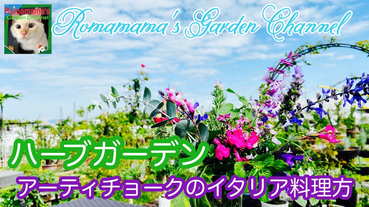 Les Herbes 洋書 ガーデニング 料理 ハーブ How to use herbs] Learn
