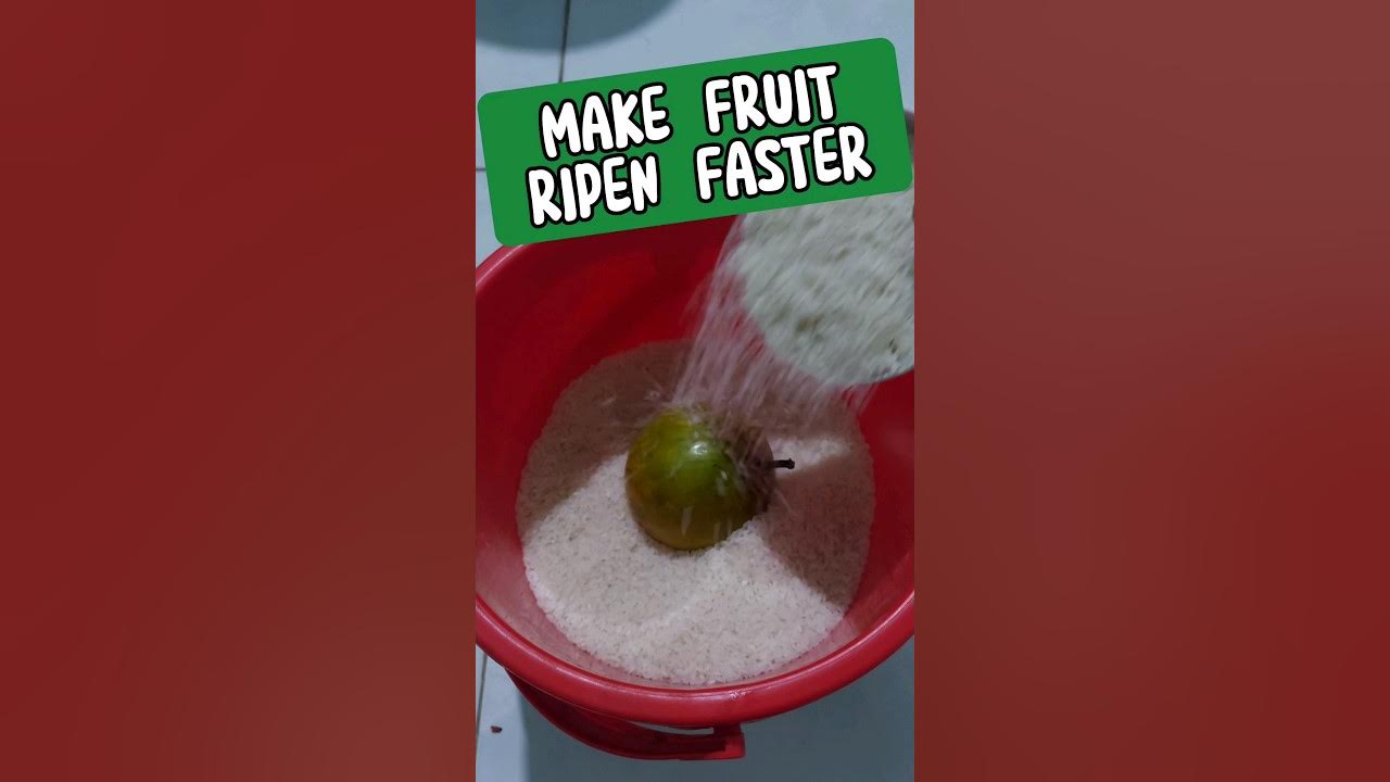 Cách Làm Trái Trứng Gà Chín Nhanh Hơn How To Make Egg Fruit Ripen