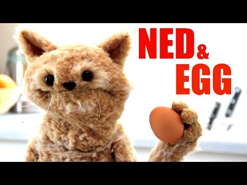 this-cat-is-ned---ep38---ned-&-egg