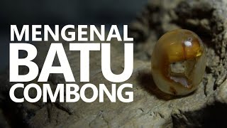 Mengenal Batu Combong Untuk Pengasihan