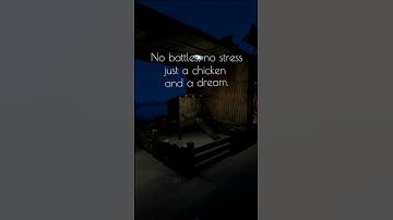 Rust Chill vibes on the Haunt PvE server