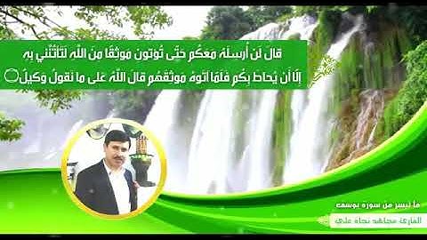 القارئ مجاهد نجاة ¦¦ سورة يوسف