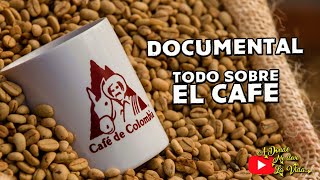 todo sobre EL CAFE Colombiano DOCUMENTAL | cap 135 | VUELTA AL MUNDO EN MOTO