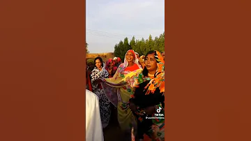 تراث الكاتم الحكام الباتيل 
