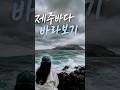 "흐린 날의 제주가 더 끌리는 이유" #제주한달살기 #제주바다 #바닷바람 #노지캠핑 #차박여행 #휴렉스570