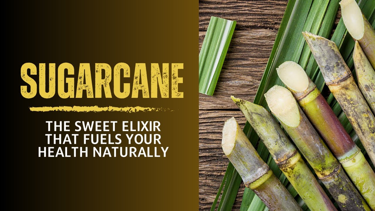 Sugarcane Secrets: Unveiling the Surprising Health Benefits of This Sweet Delight