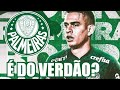 BOMBA! BORRÉ NOVO JOGADOR DO PALMEIRAS? MÍDIA CRAVA O ACERTO DÁ CONTRATAÇÃO.