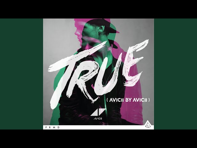 Shame On Me (Avicii By Avicii) class=