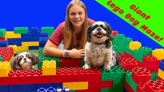 assistant builds a giant lego dog maze for wiggles and waggles