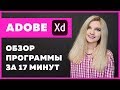 Обзор Adobe XD за 17 минут для верстальщиков и веб-дизайнеров