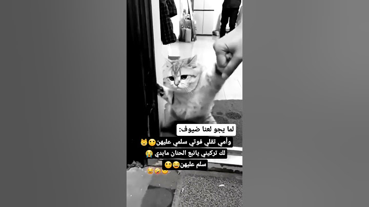 لما يجو لعنا ضيوف 😂😂🙈🙈