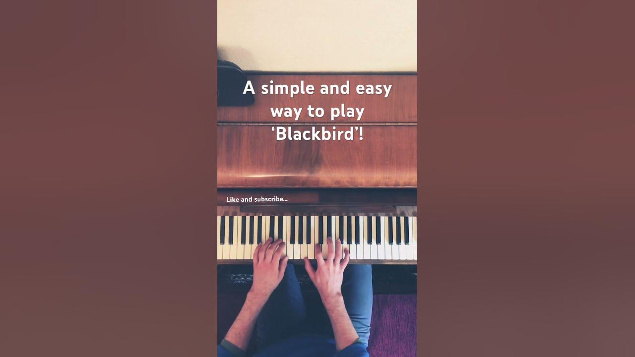 The most SIMPLE way to play ‘Blackbird’! #piano #music #pianotutorial #jazzchords