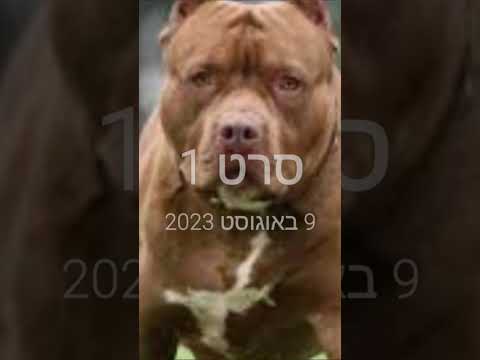 مره جبت كلب سميتو شيكي دودو