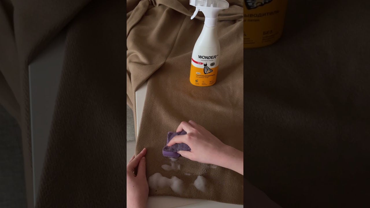 КАК ПОЧИСТИТЬ ПАЛЬТО В ДОМАШНИХ УСЛОВИЯХ? #лайфхак #shorts