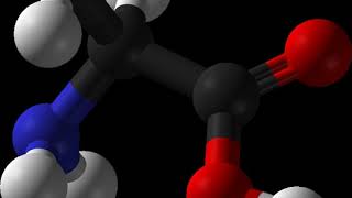 Glucogenic amino acid | Wikipedia audio article