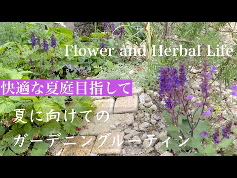 ガーデニングvlog 6月に咲く庭のお花や夏庭のための庭仕事をご覧いただきたいです Youtube ガーデニングvlog 6月に咲く庭のお花や夏庭のための庭仕事をご覧いただきたいです Youtube