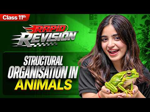 Structural Organisation in Animals RAPID REVISION | Class 11th Biology Chapter-7 | CBSE 2026-27
