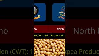 Chickpea Production by U.S. States 2025 🌾📊 #shorts