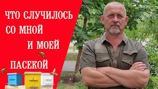 Что Случилось со Мной и Моей Пасекой... || What happened to me and my apiary...