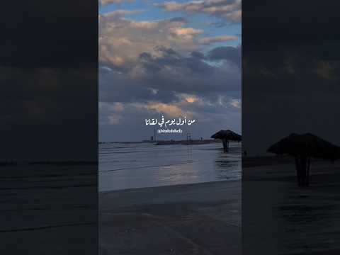 من أول يوم في لقانا خالد الصيفي عامر منيب بينا نعيش رومانسي حب حالات واتس