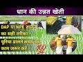 धान में DAP/NPK कब डाले | यूरिया डालते समय कौन कौन सी बातों का ध्यान रखना चाइए | Paddy Farming