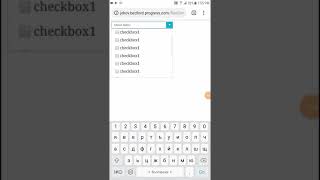 Radcombobox Mobile Scroll