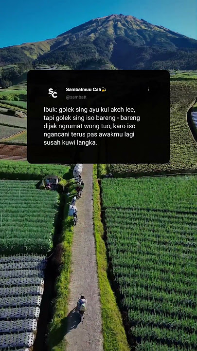 story wa lagu dance floor viral tiktok #sambatmuucah