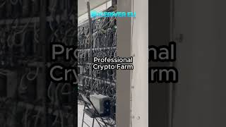 🇦🇪 Dubai Hosting Center | AI Smart Mining &amp; 7-Year Warranty  #icerivereu #asichosting #asicminer