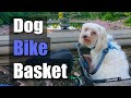 Axiom Bike Basket for dogs - better than a pet trailer?