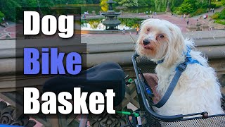 Axiom Bike Basket for dogs  better than a pet trailer?