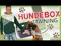 Hundebox - Eingewöhnung, Training, Verwendung