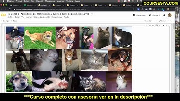 💥 Tensorflow 2.0: Guía completa para el Nuevo Tensorflow-Bienvenidos