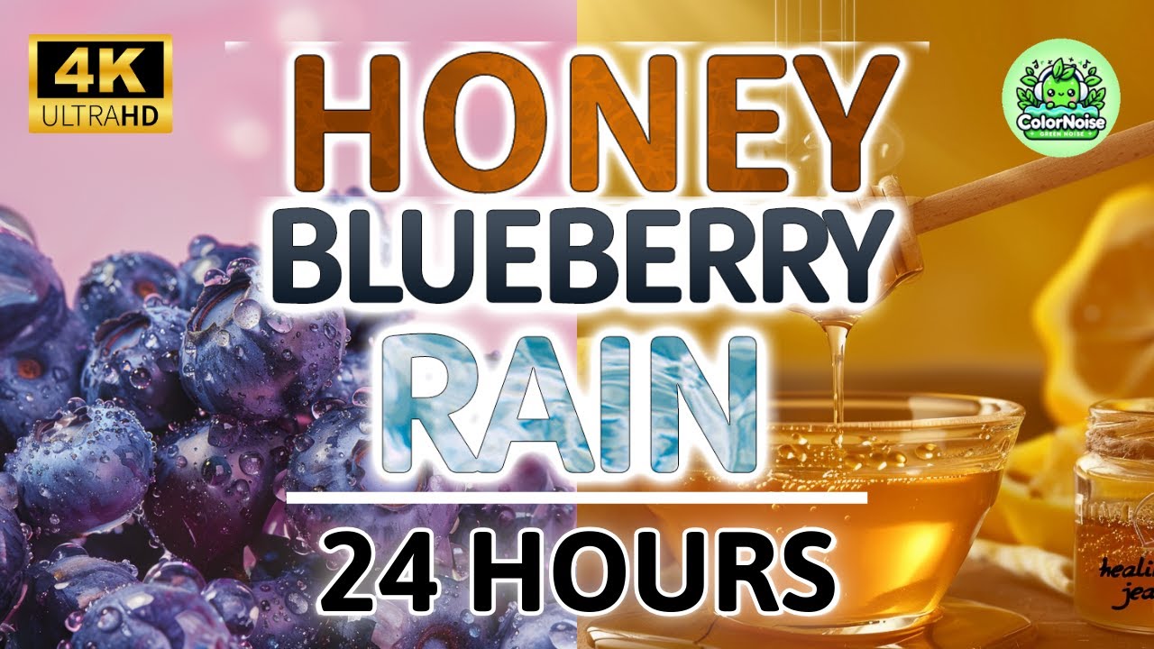 Soothing Blueberry Honey Rain Noise | 24 Hours BLACK SCREEN | Study, Sleep, Tinnitus Relief & Focus