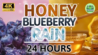 Soothing Blueberry Honey Rain Noise | 24 Hours BLACK SCREEN | Study, Sleep, Tinnitus Relief & Focus