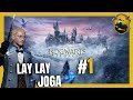 Meu primeiro Trasgo, Duendes Malucos, e Lufa Lufa - Hogwarts Legacy - Lay Lay joga #14