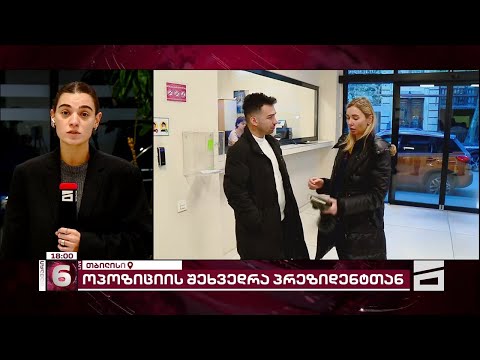 გაყალბებული არჩევნები და სამომავლო გეგმები | პროევროპული ოპოზიციის ლიდერები პრეზიდენტს ხვდებიან