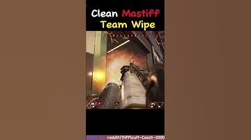 Clean Mastiff Team Wipe☢️