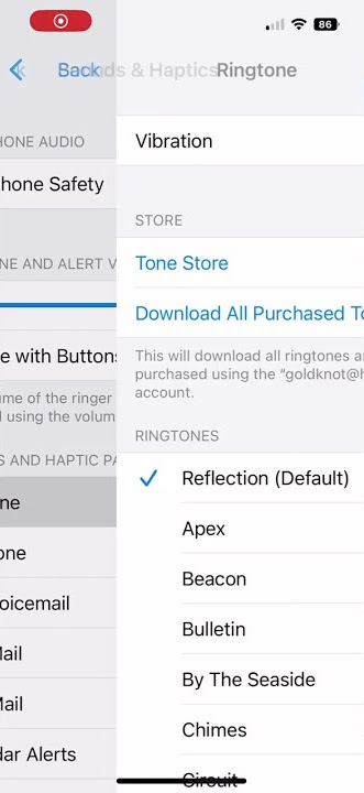 How To Change Ringtone On iPhone Apple Devices #shorts #viral
