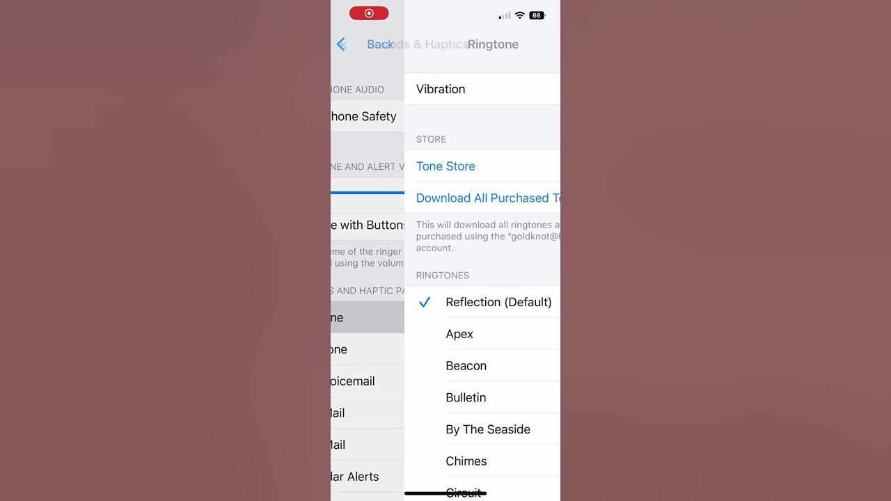 How To Change Ringtone On iPhone Apple Devices #shorts #viral