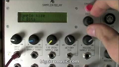 Analogue Systems rs290 Crushes Your Bits Too