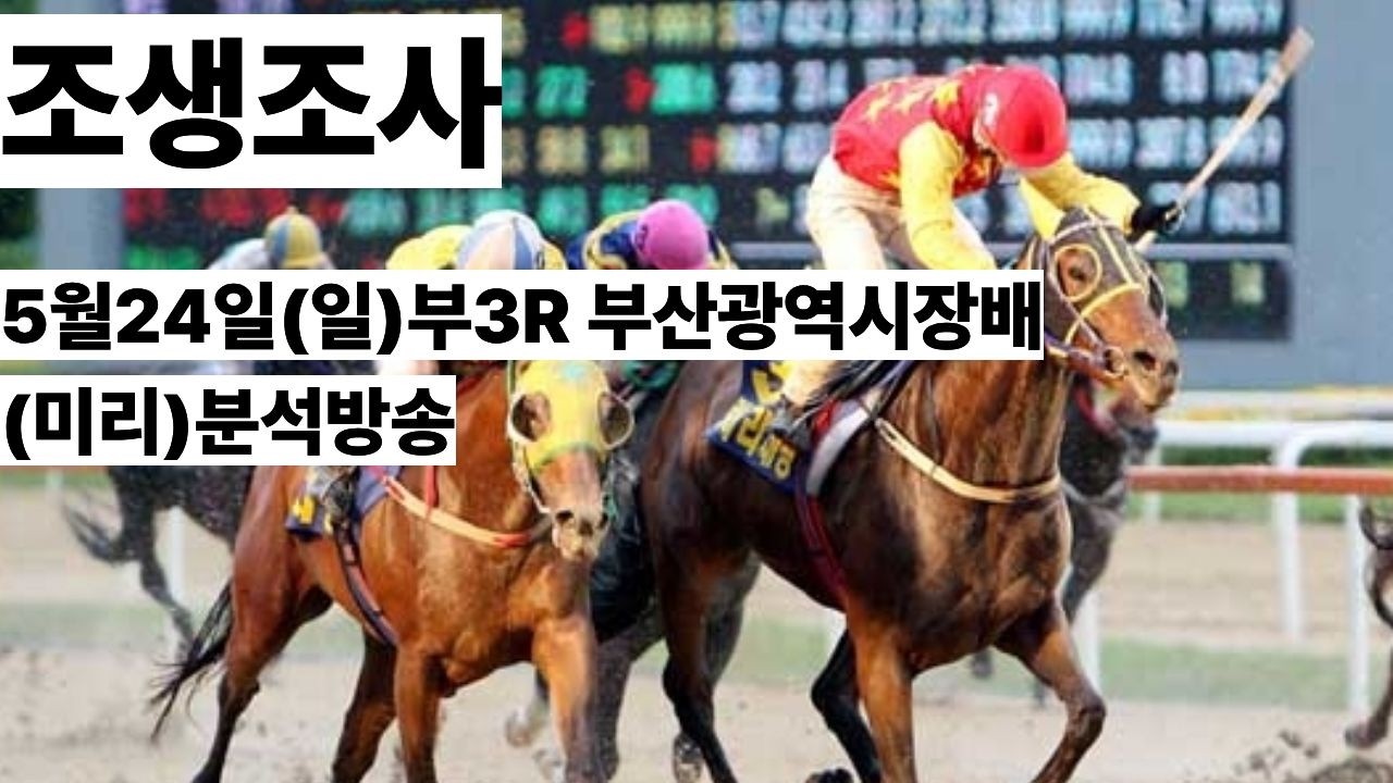 조생조사(5월24일(일)부산3R부산광역시장배 미리분석방송)