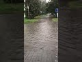 Дощ у Луцьку | Волинські Новини
